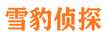 大连侦探调查公司